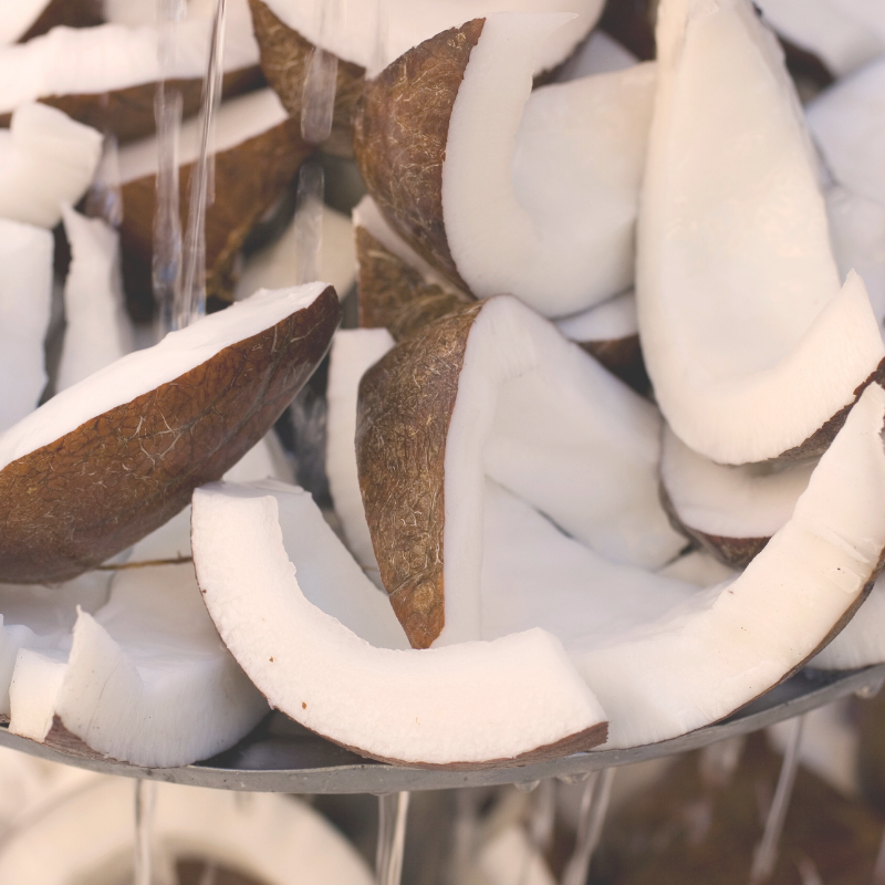 This is an image of pieces of coconut.