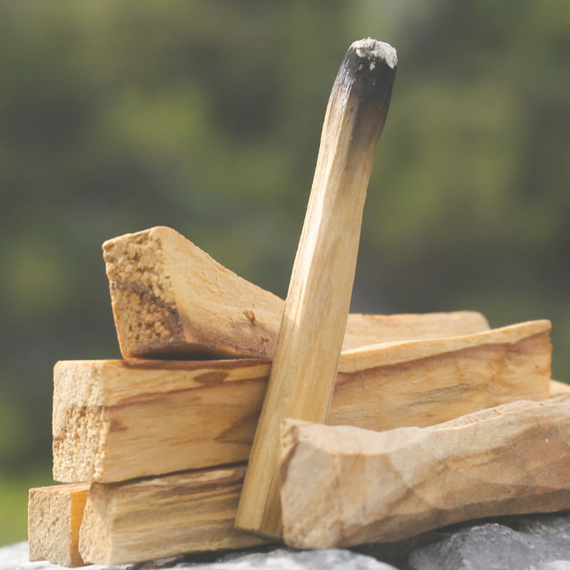 This is an image of a stack of burned palo santo.