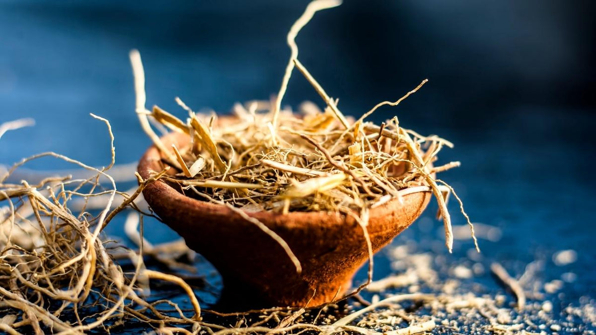 featured fragrance: what does vetiver smell like?